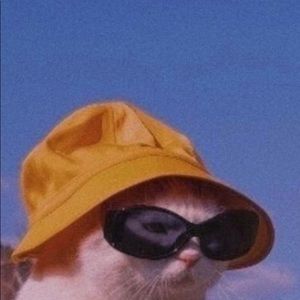 Meet your Posher, Channing